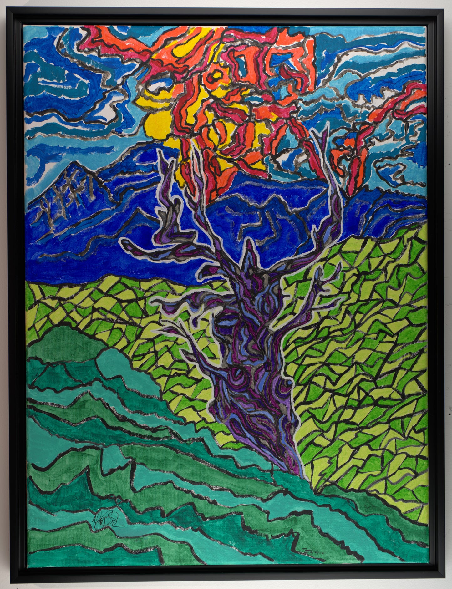 Ancient Wisdom Tree (Methuselah Tree)