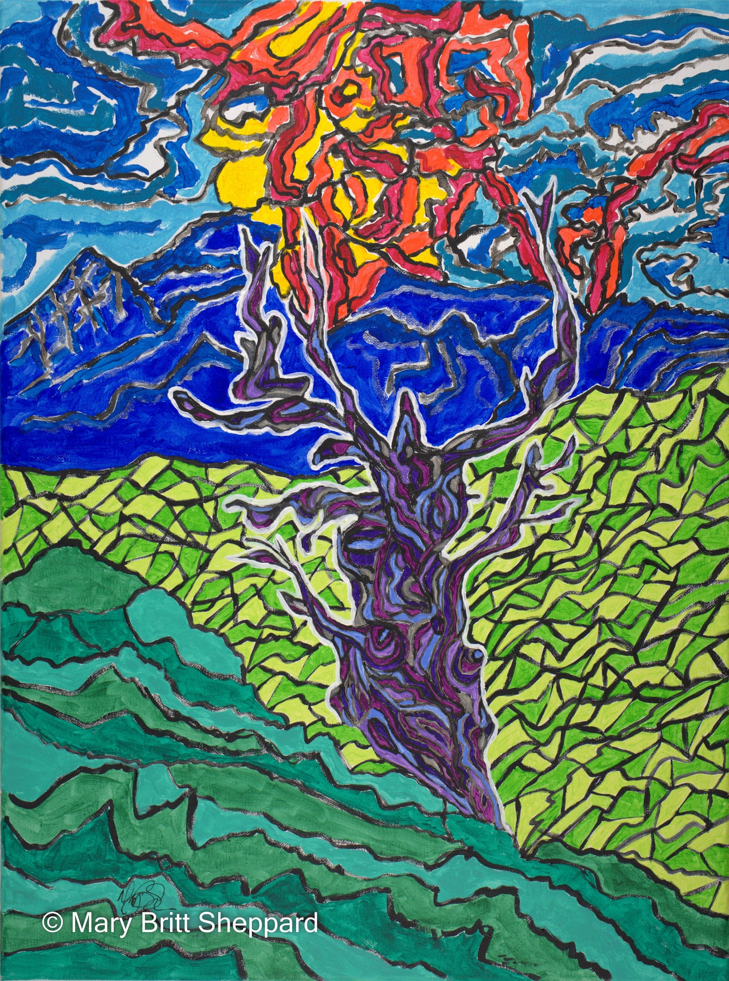 Ancient Wisdom Tree (Methuselah Tree)