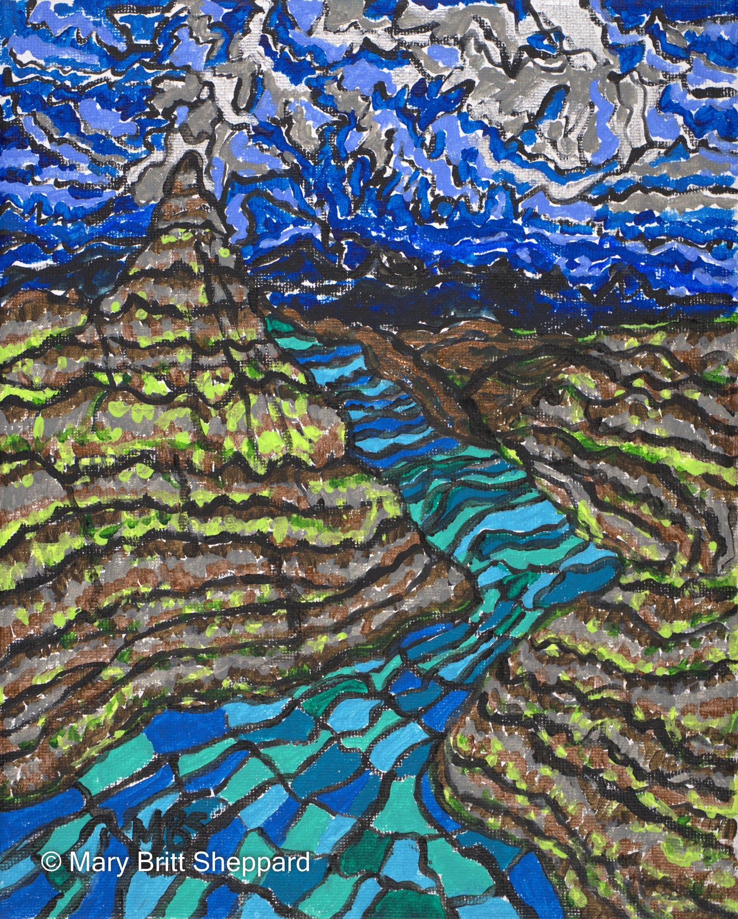 Icelandic Gorge