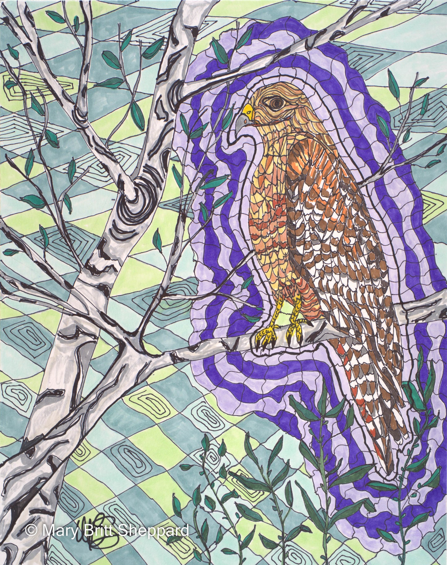 Messenger Hawk