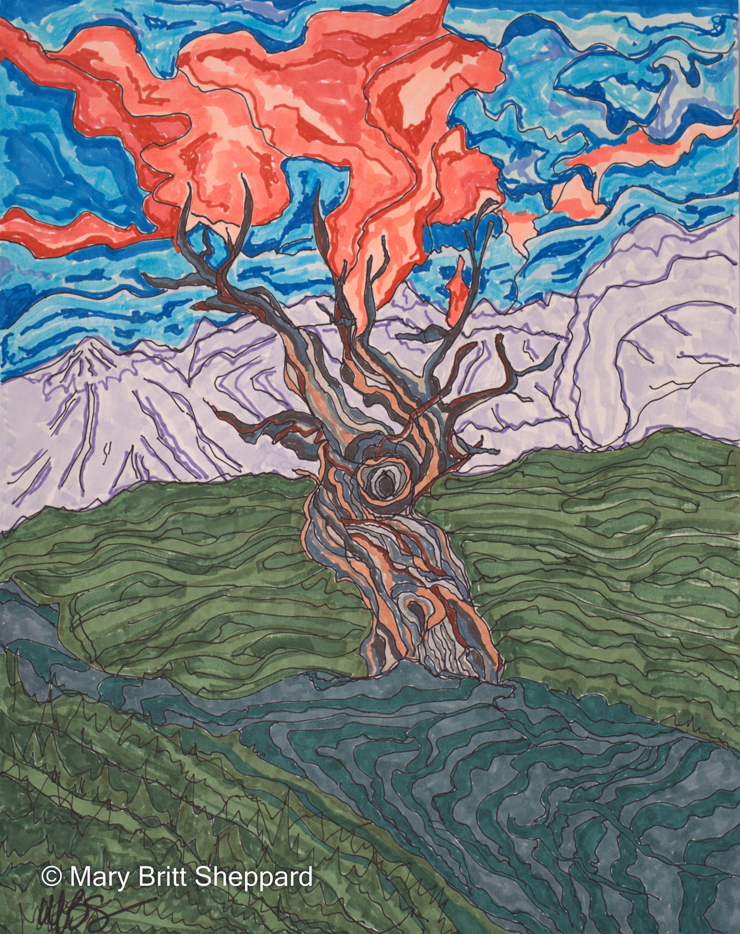 Wisdom Tree