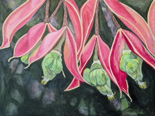 Exotic Flowers