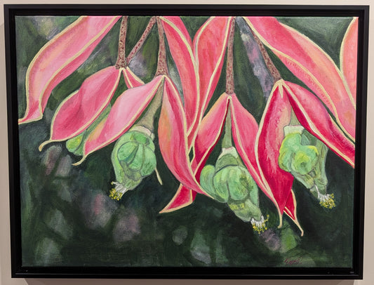 Exotic Flowers