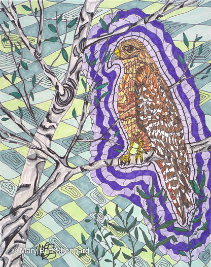 Messenger Hawk